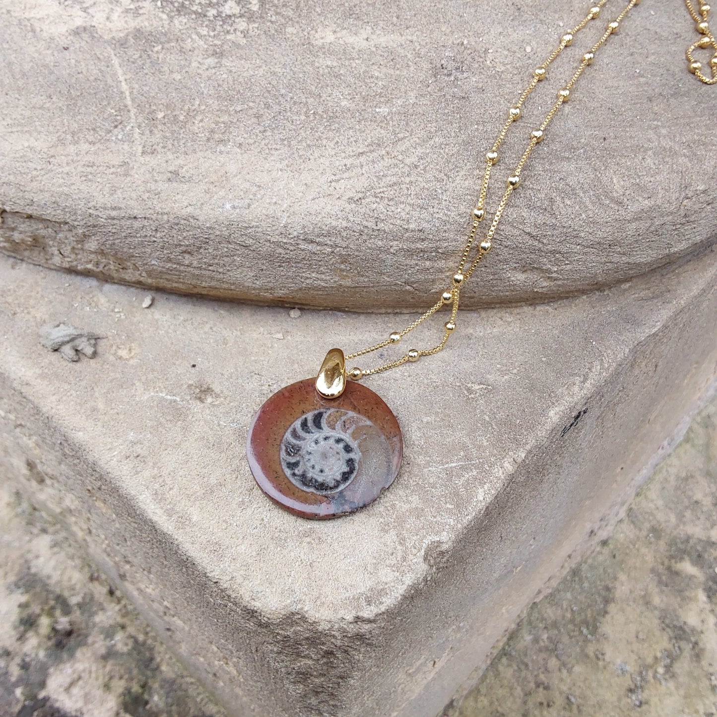 Collier ammonite