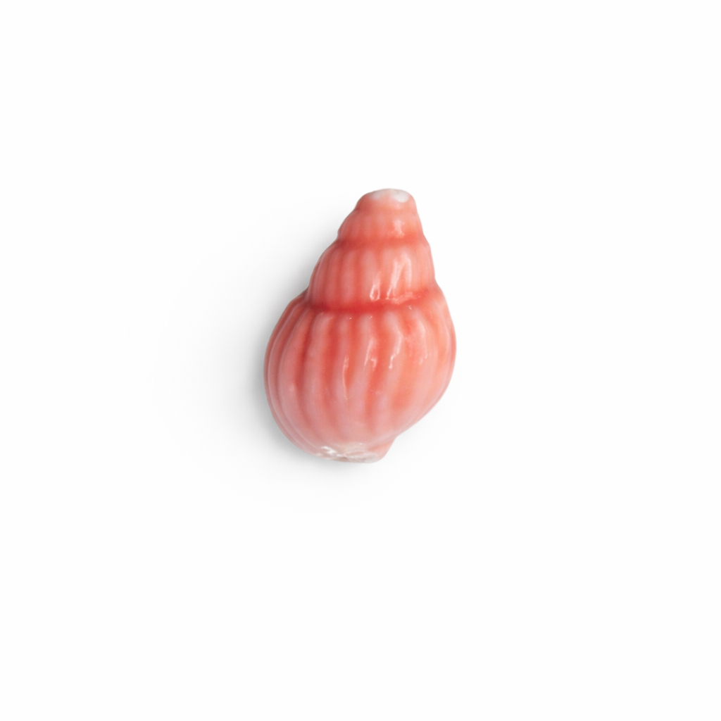 Coquillage ceramique