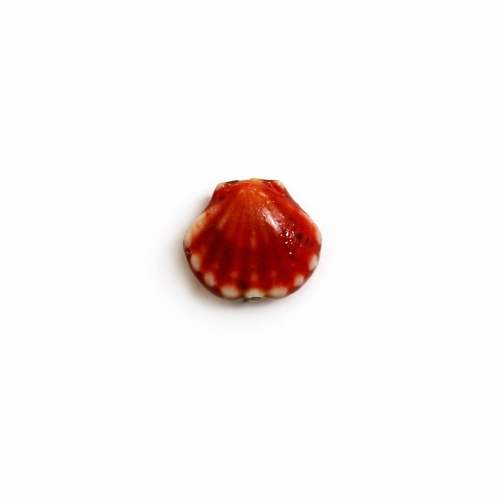 Mini coquillage ceramique