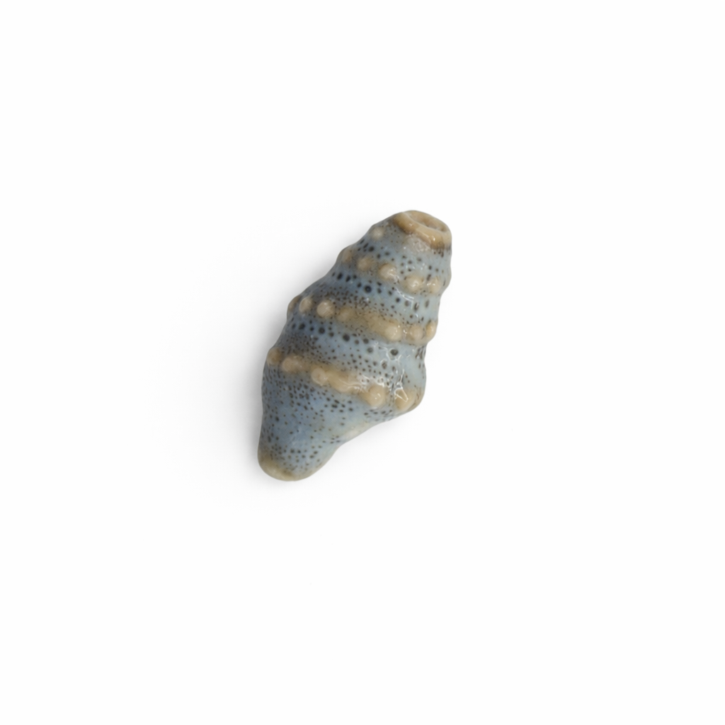 Coquillage ceramique