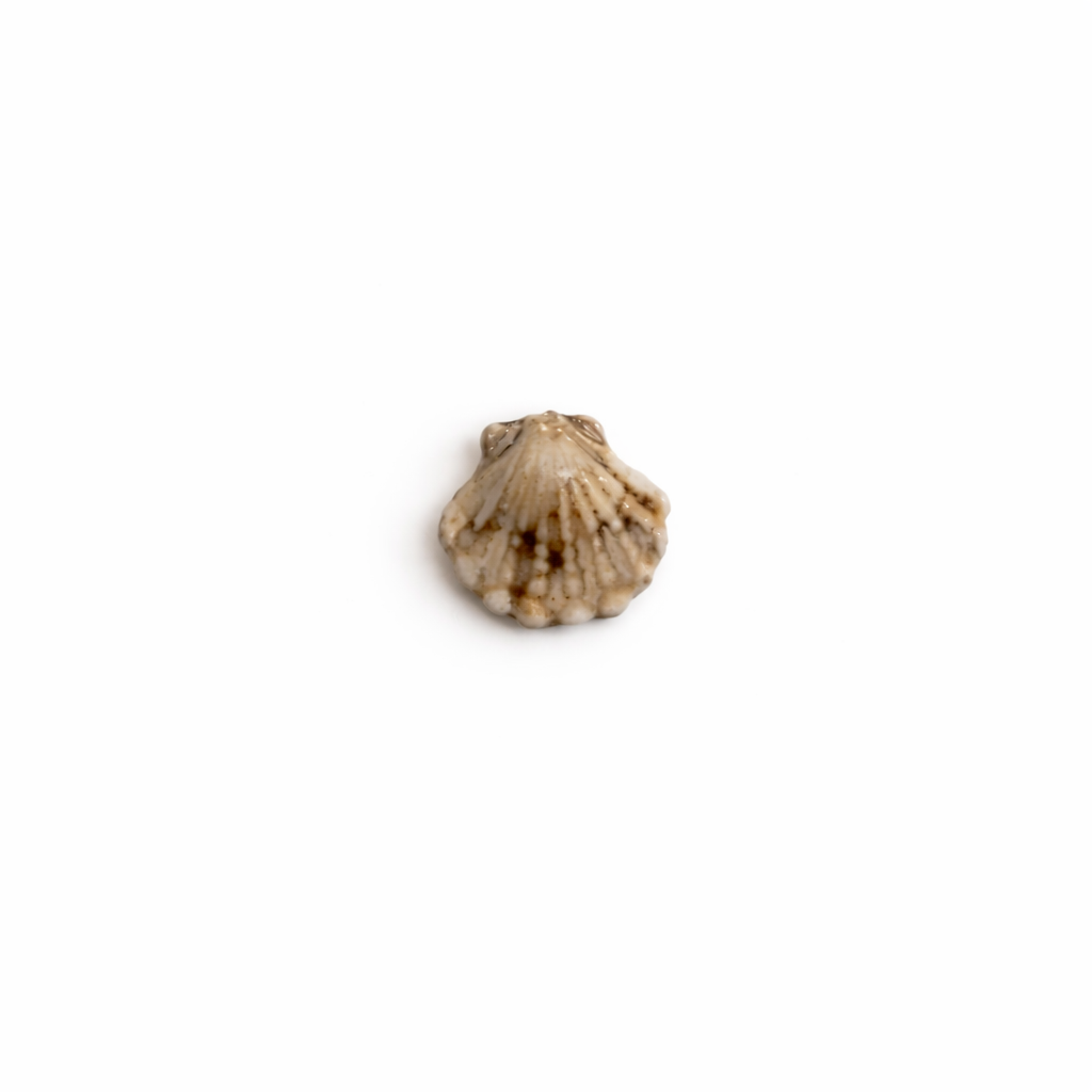 Mini coquillage en ceramique