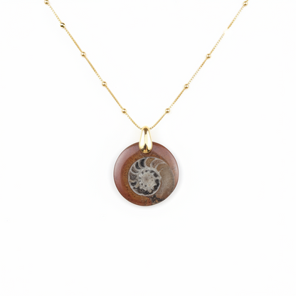 Collier ammonite
