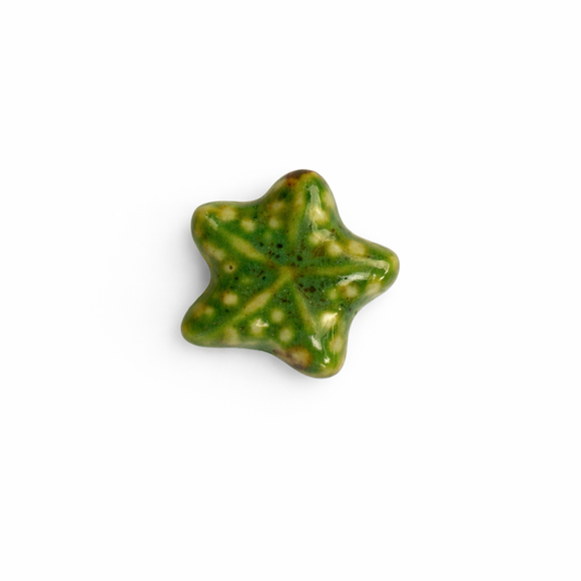 Etoile de mer ceramique