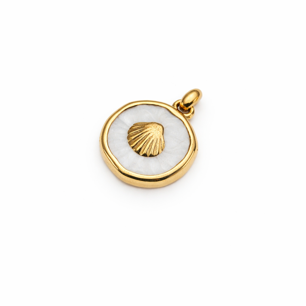 Coquille blanche