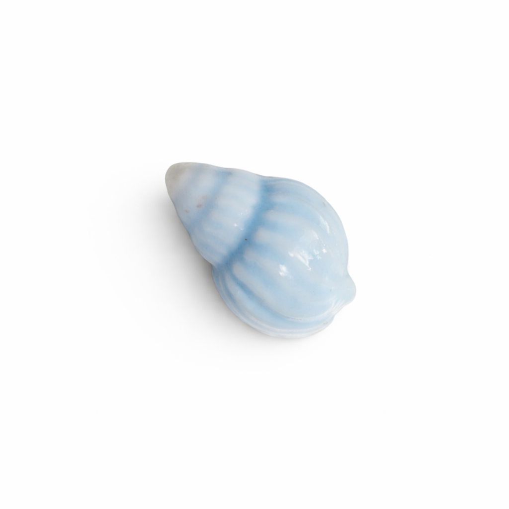 Coquillage ceramique