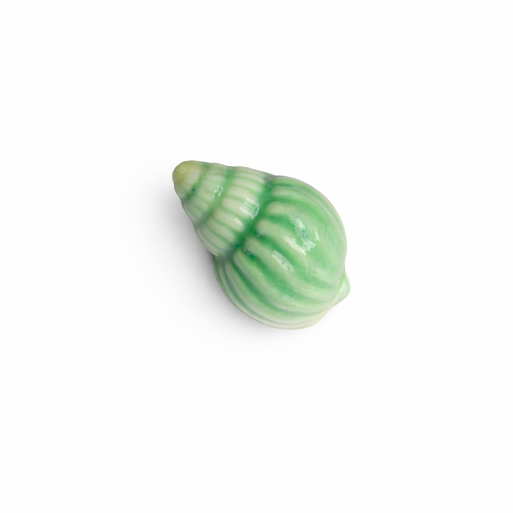 Coquillage en ceramique