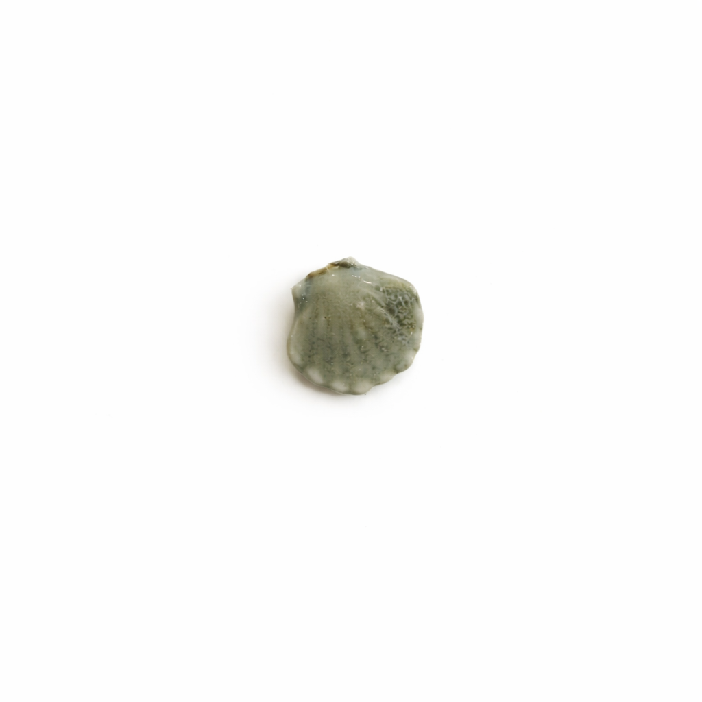 Mini coquillage ceramique