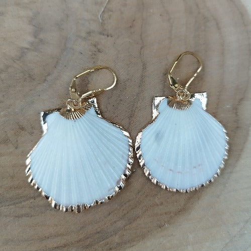 Boucles d'oreilles en coquillage